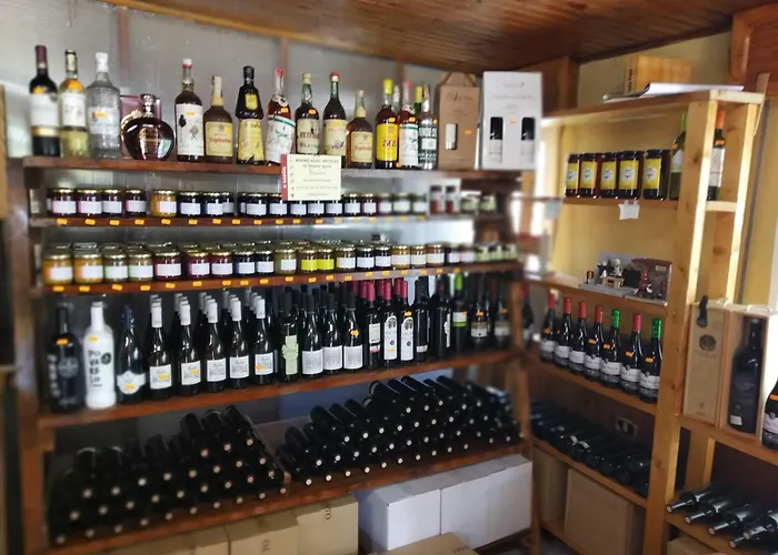 Casa Pepe